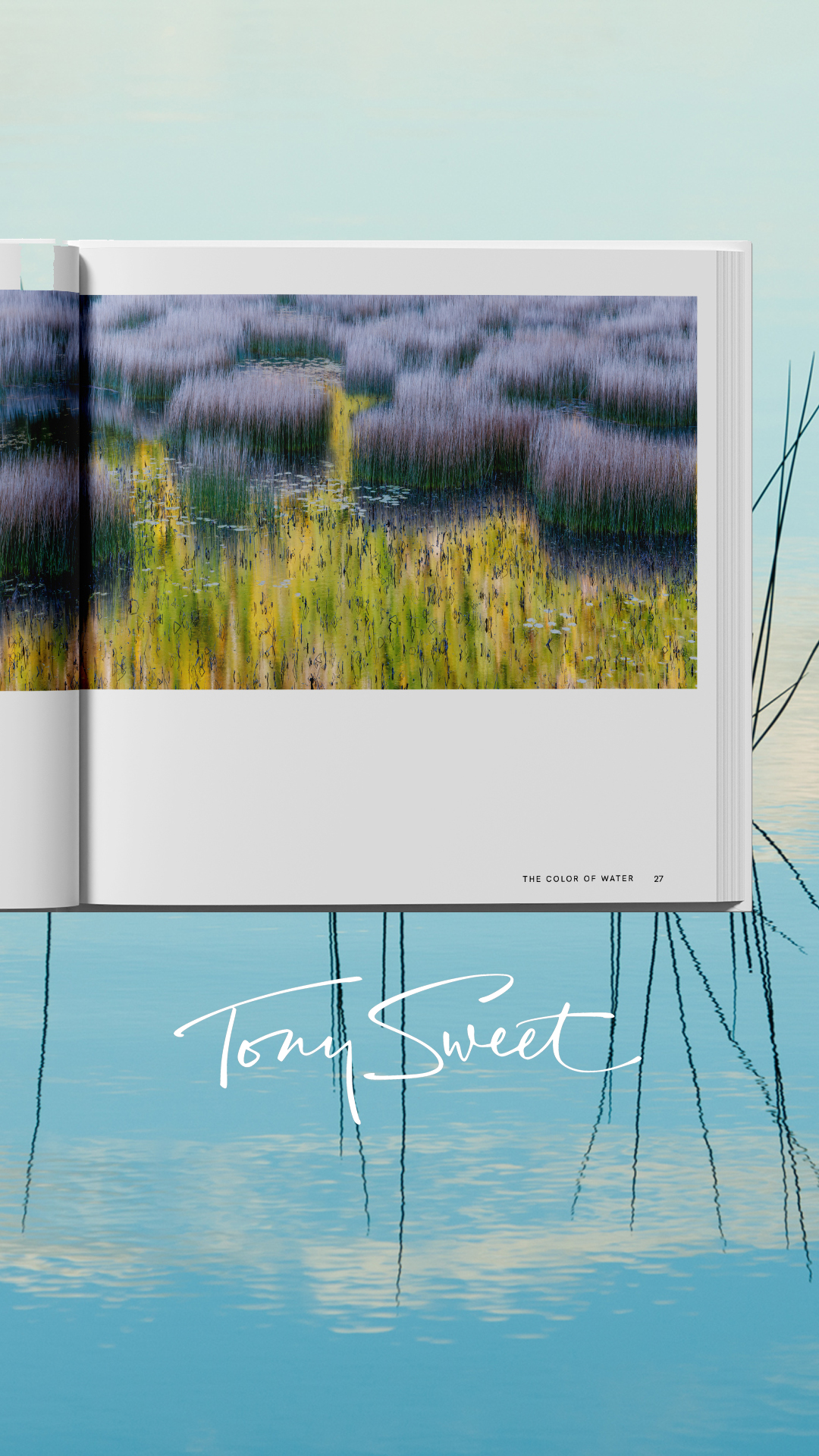 Tony Sweet Kickstarter ad campaign imagery assets