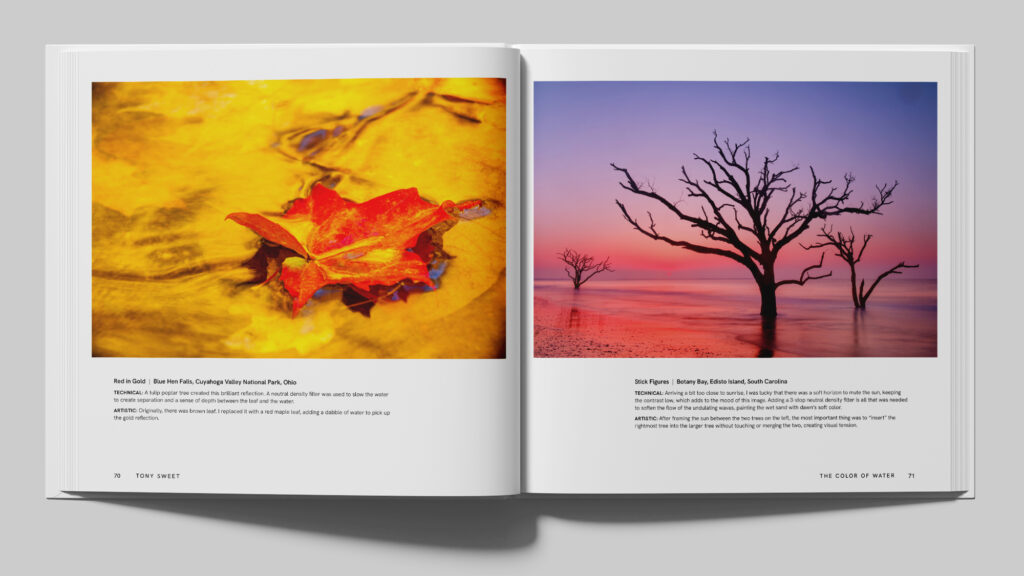 Tony Sweet The Color of Water book sales materials