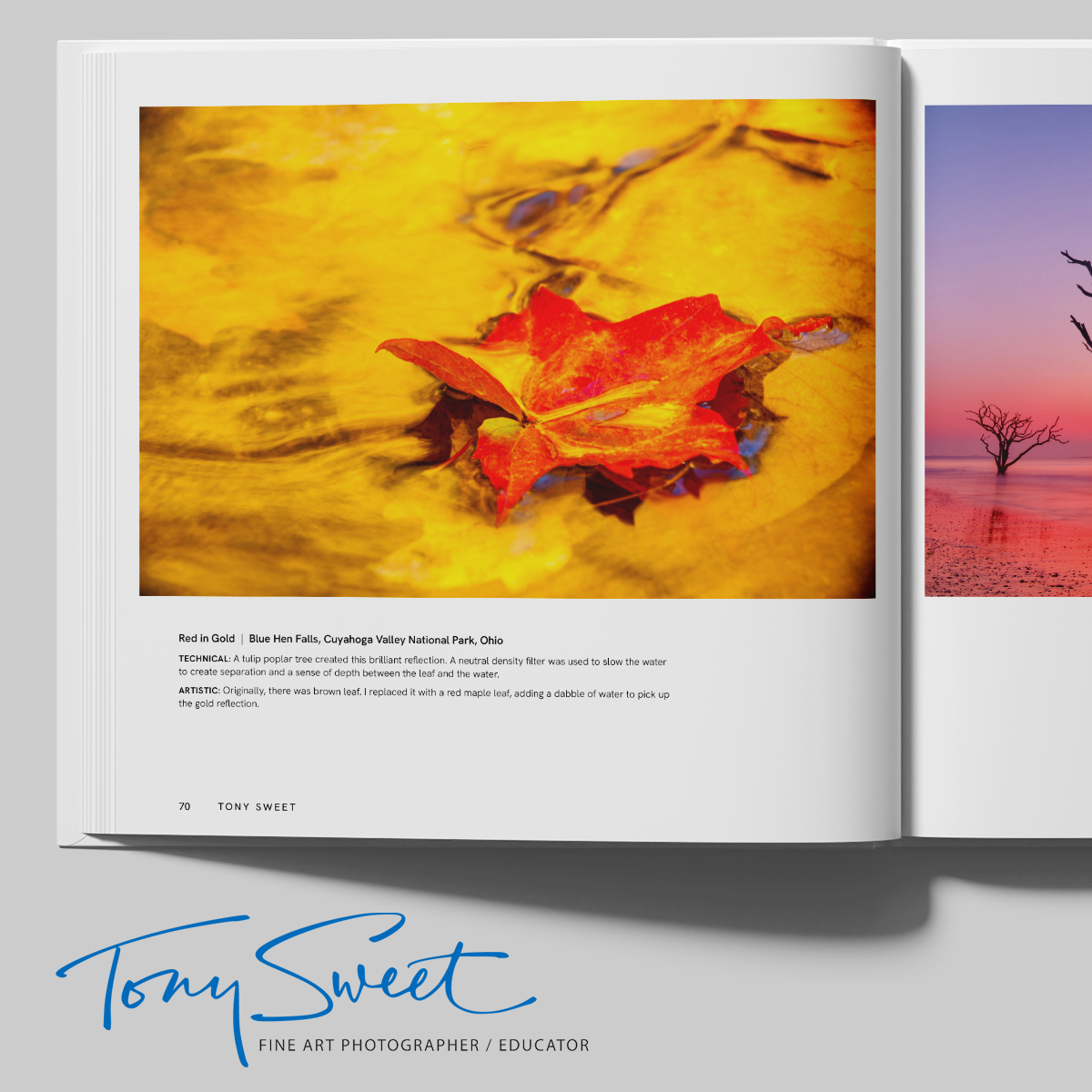 Tony Sweet Kickstarter ad campaign imagery assets